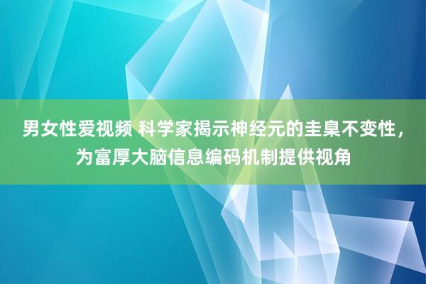 男女性爱视频 科学家揭示神经元的圭臬不变性，为富厚大脑信息编码机制提供视角
