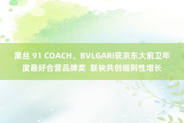 黑丝 91 COACH、BVLGARI获京东大前卫年度最好合营品牌奖  联袂共创细则性增长