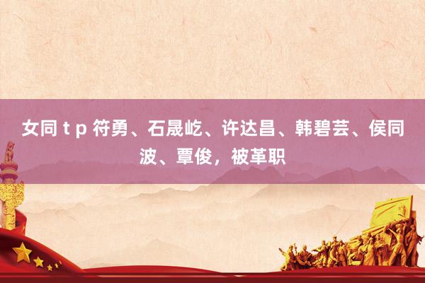 女同 t p 符勇、石晟屹、许达昌、韩碧芸、侯同波、覃俊，被革职