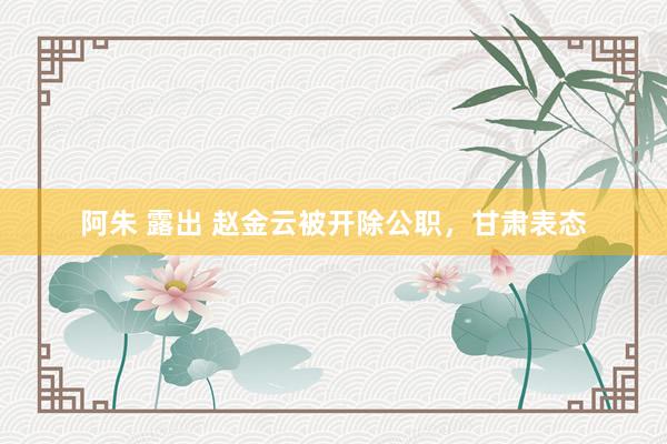 阿朱 露出 赵金云被开除公职，甘肃表态